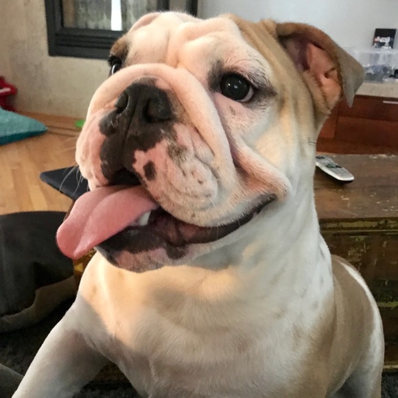 @Bekafab  FOLLOW GAME😻 - Picture 9 of 11